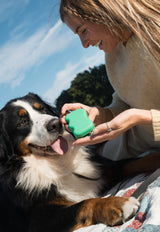 Springer Pets Squeeze Silicone Dog Treat Pouch Dispenser