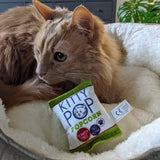 Huxley & Kent Kitty Pop Cat Toy