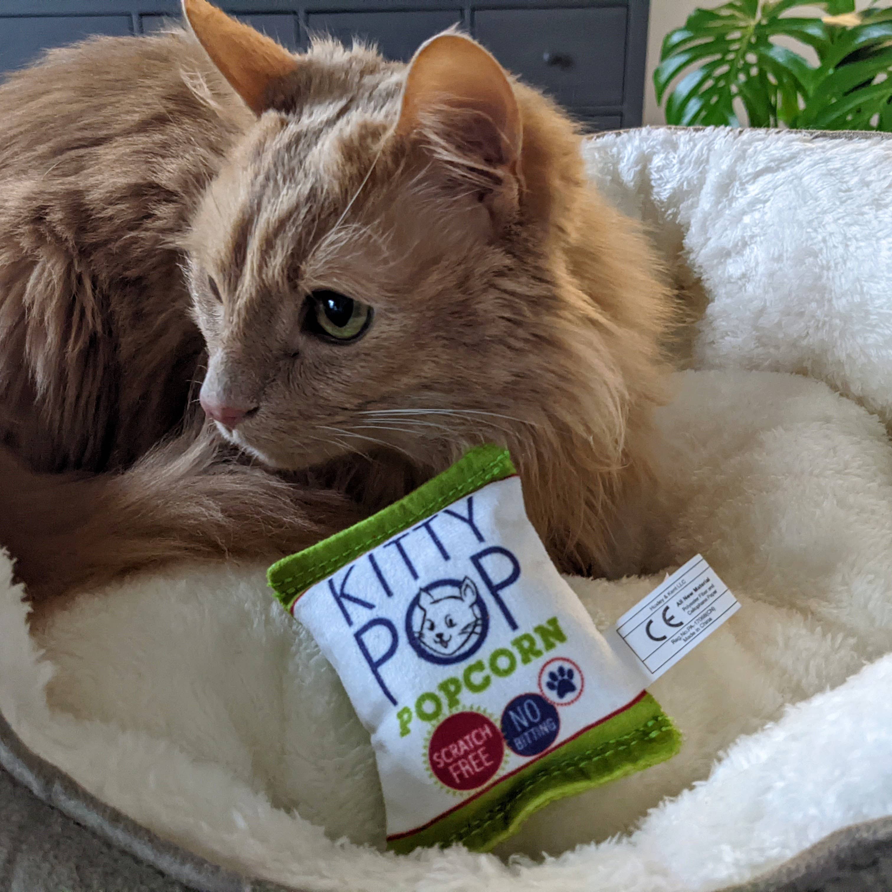Huxley & Kent Kitty Pop Cat Toy