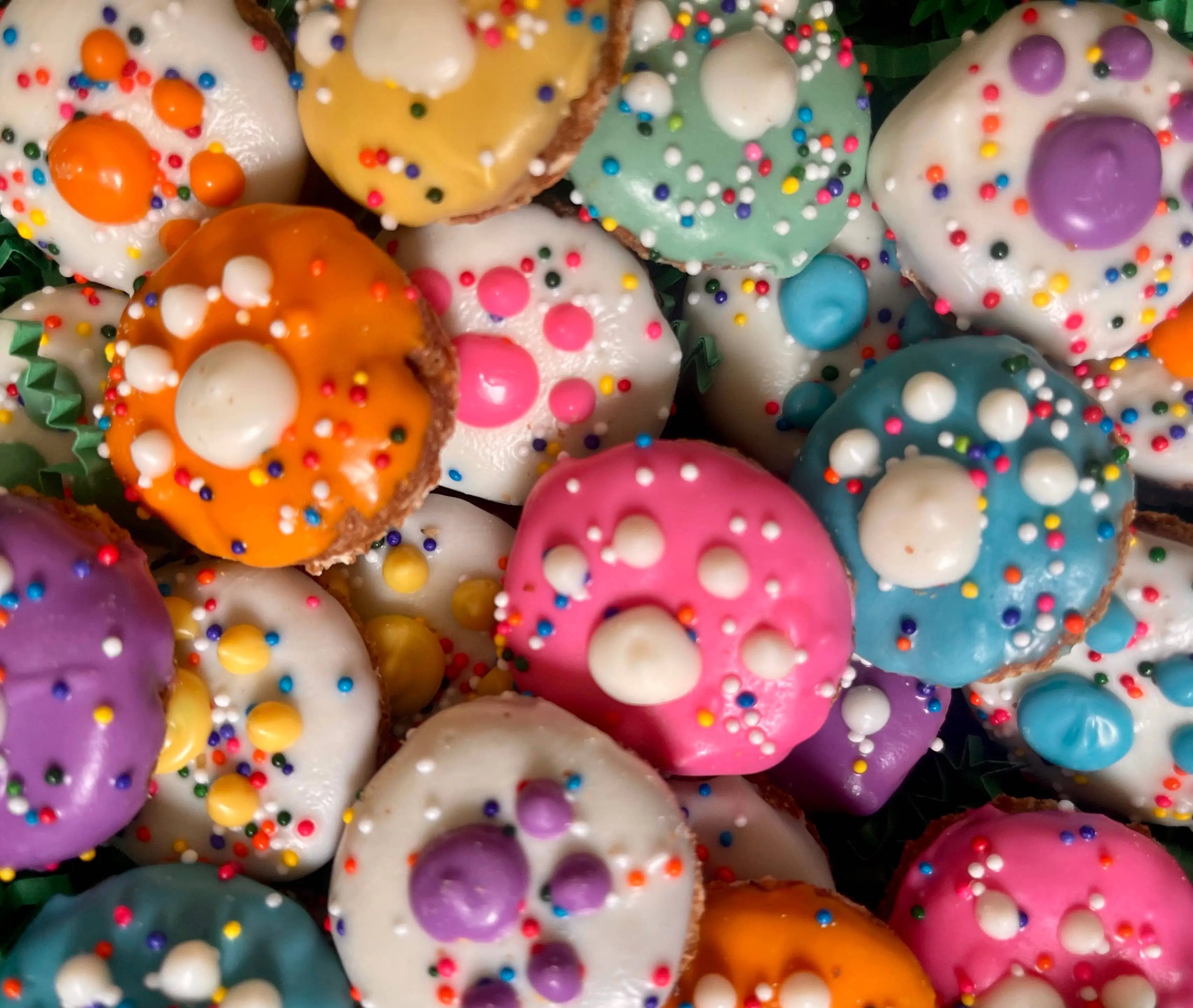 YumYum4DOGS Mini Fiesta PAWTY Print Bakery Dog Treats