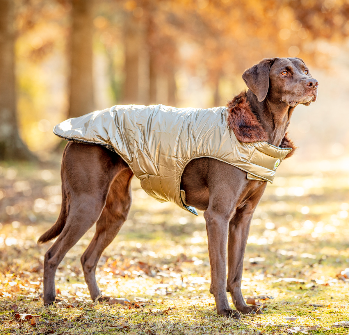 Up Country, Inc. Aspen Puffer Coat