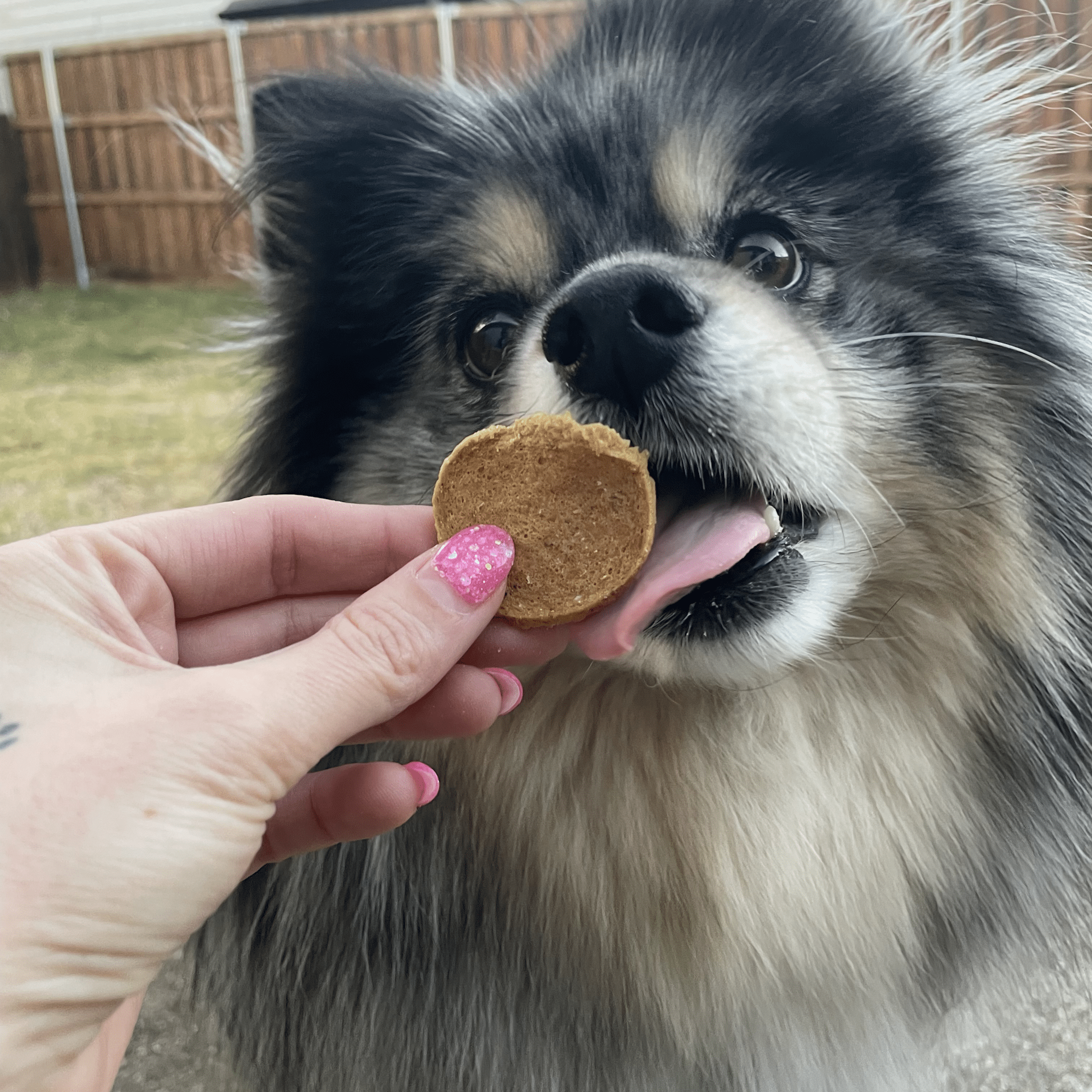Farm to Pet Healthy Dog Treats Fish Chips Dog Treats