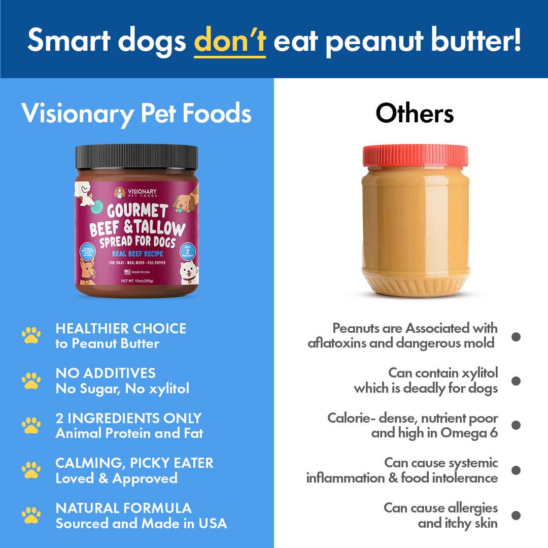 Visionary Pet Foods Meat Spread Beef and Beef Tallow 12oz Jar