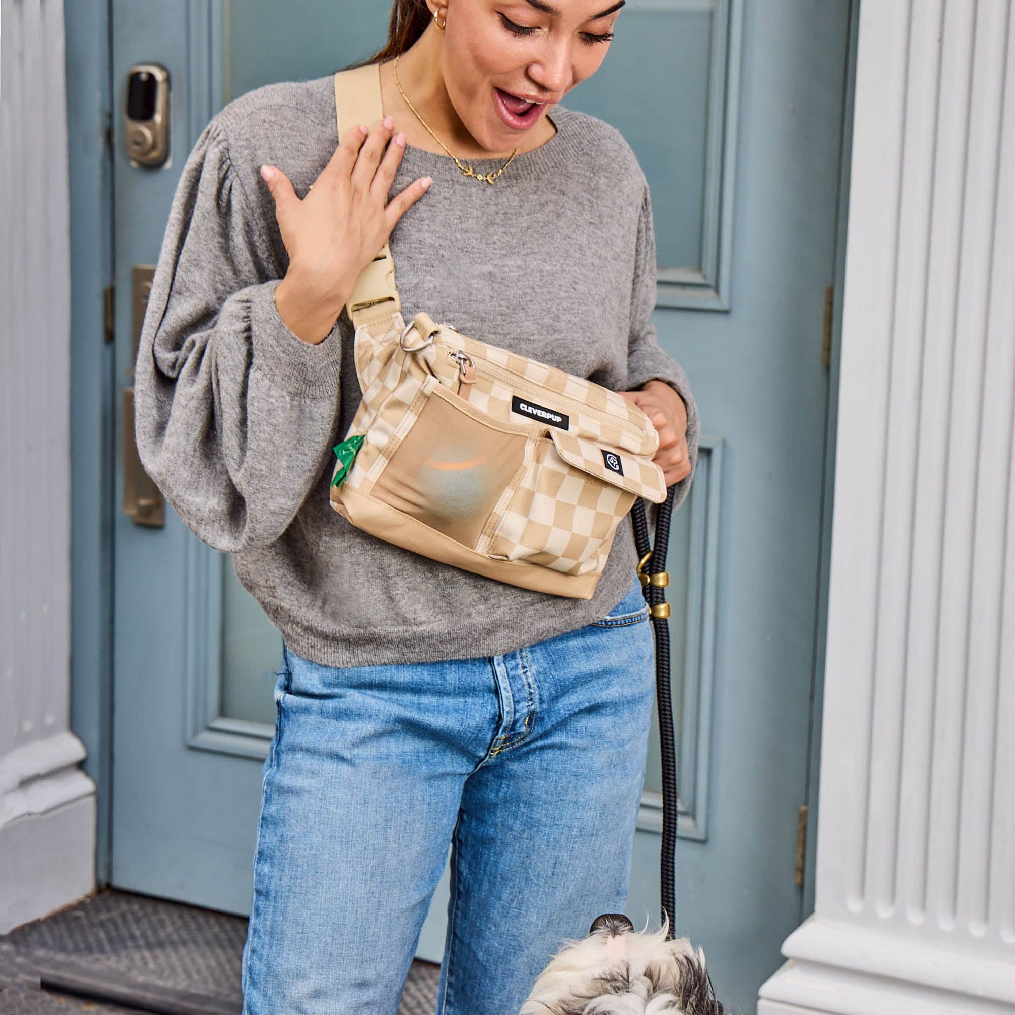 Cleverpup Dog Walk & Train Sling Bag