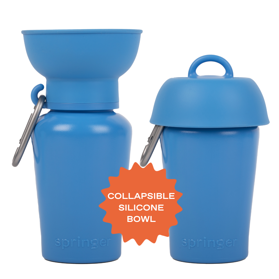 Springer Pets Dog Travel Water Bottle Flip Silicone 20oz