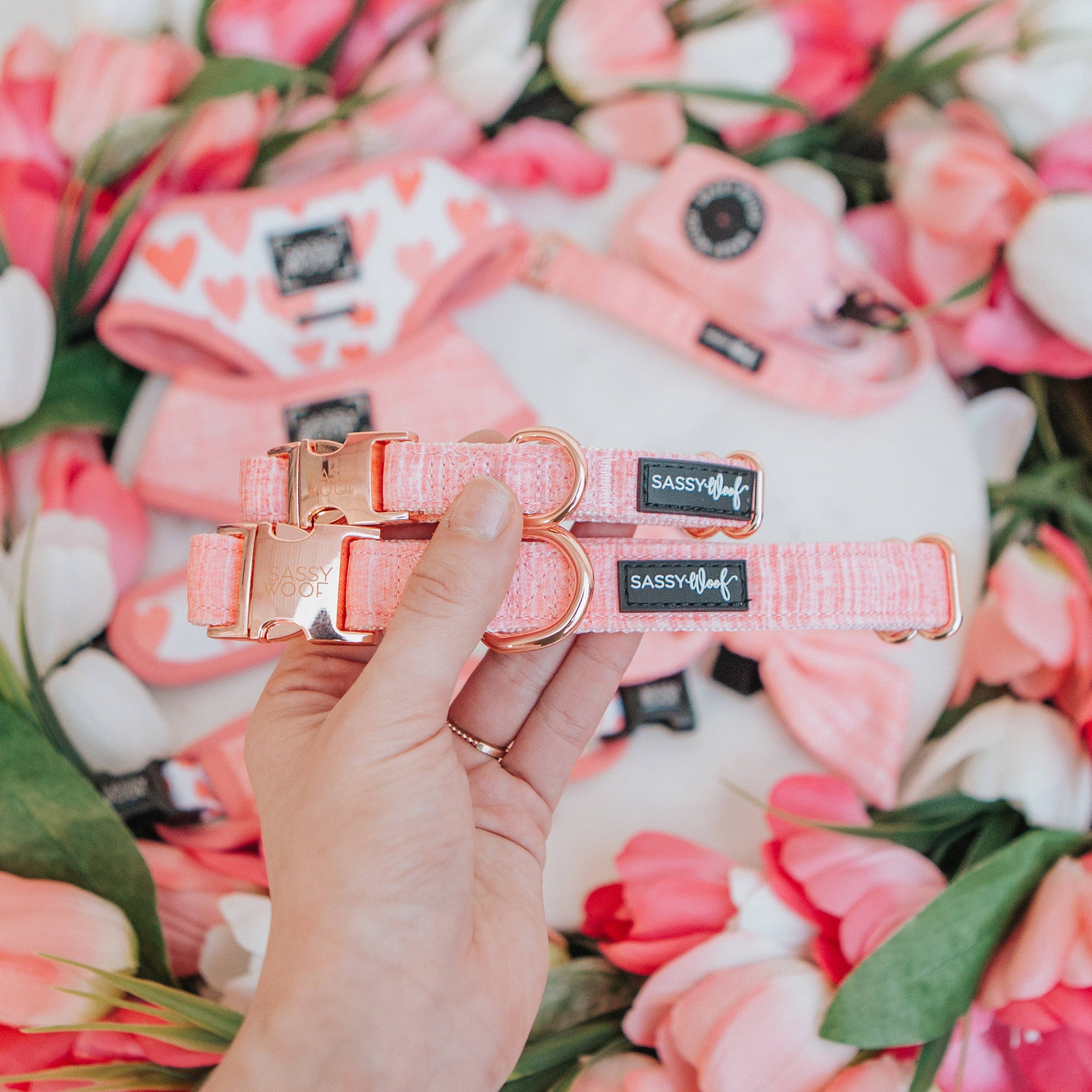 SASSY WOOF Dolce Rose Dog Collar