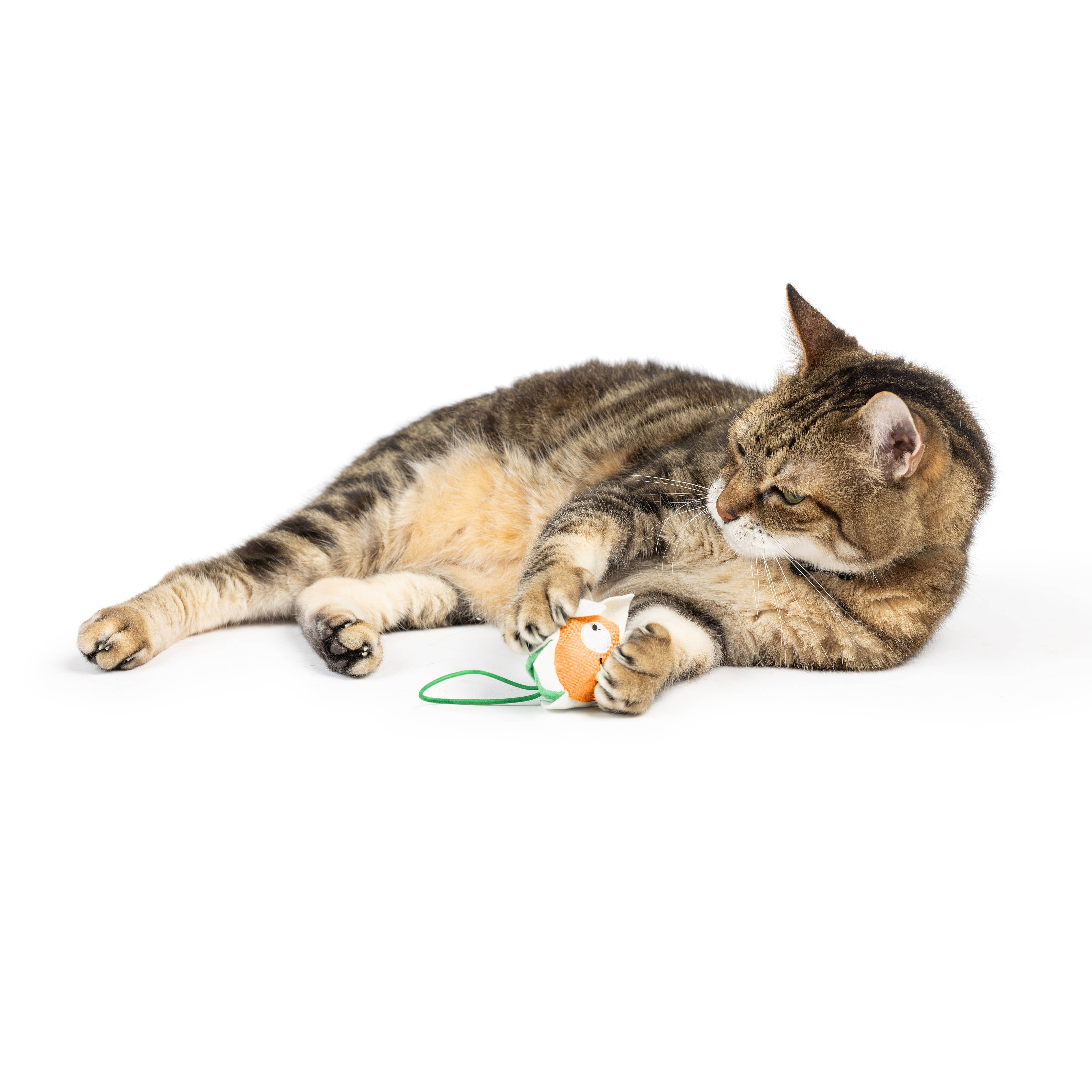 Huxley & Kent Flower Flinger Cat Toy