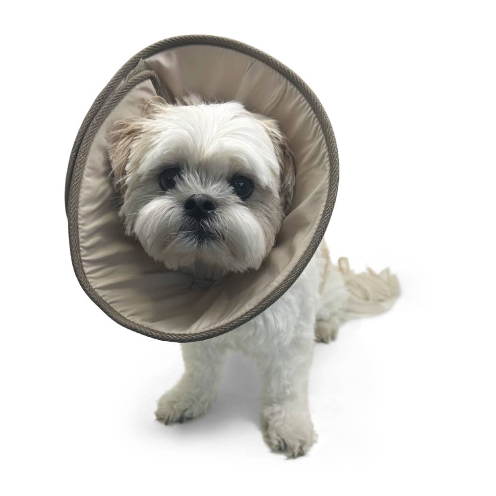 Dogo Pet Get Better Soft E-Collar