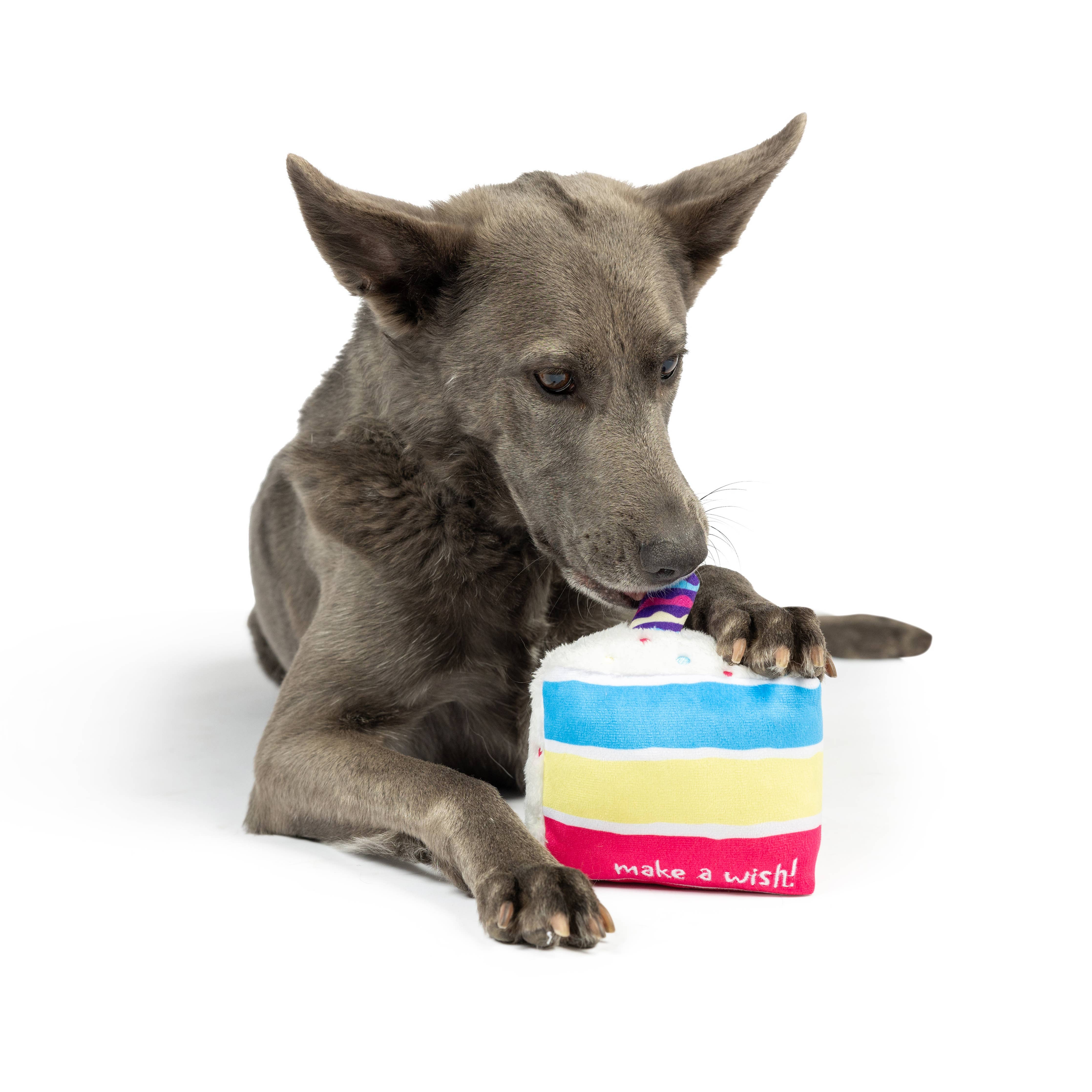 Huxley & Kent Make A Wish Cake Dog Toy