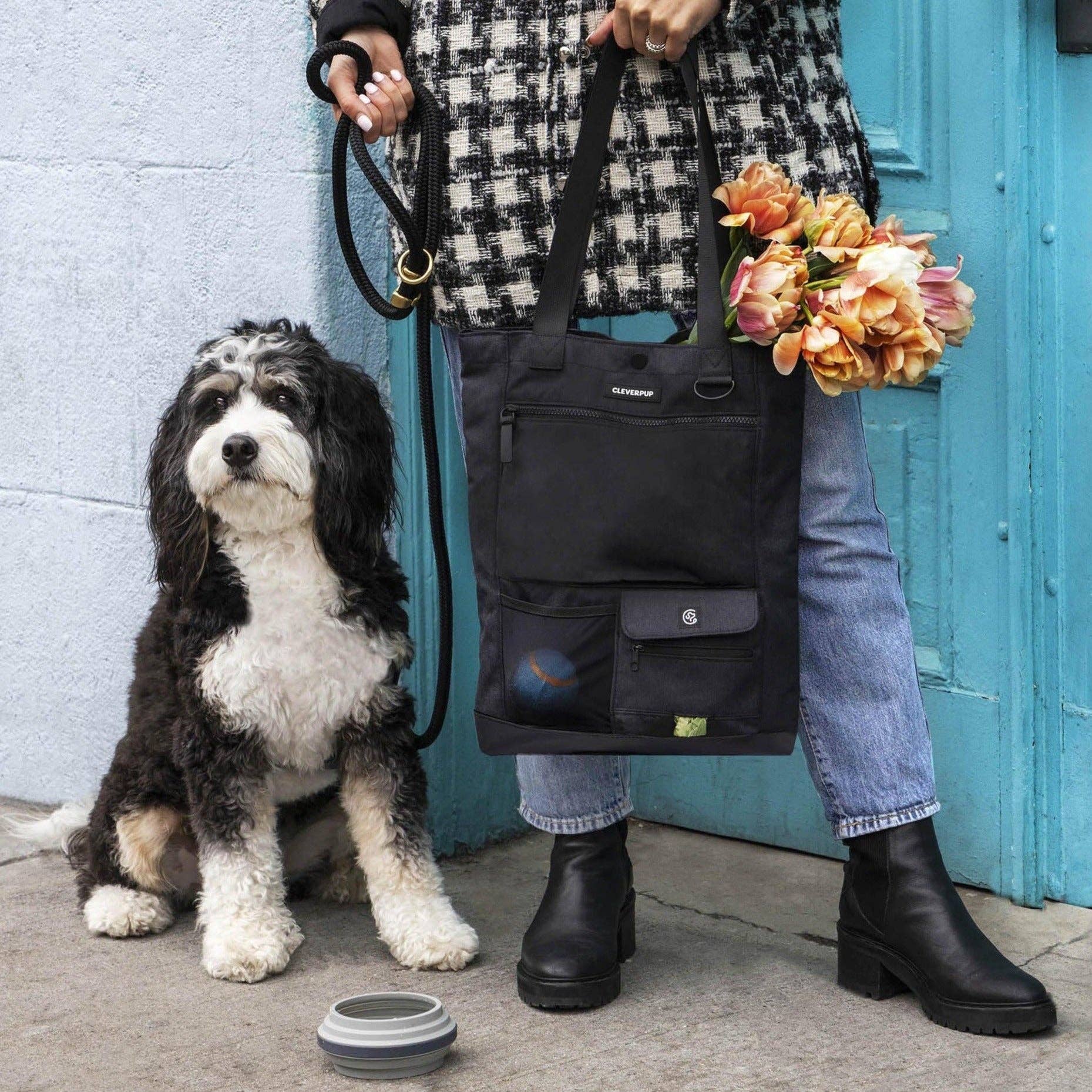Cleverpup Park Pack Dog Gear Tote