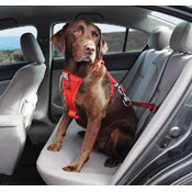 Kurgo Swivel Car Tether Red for dogs