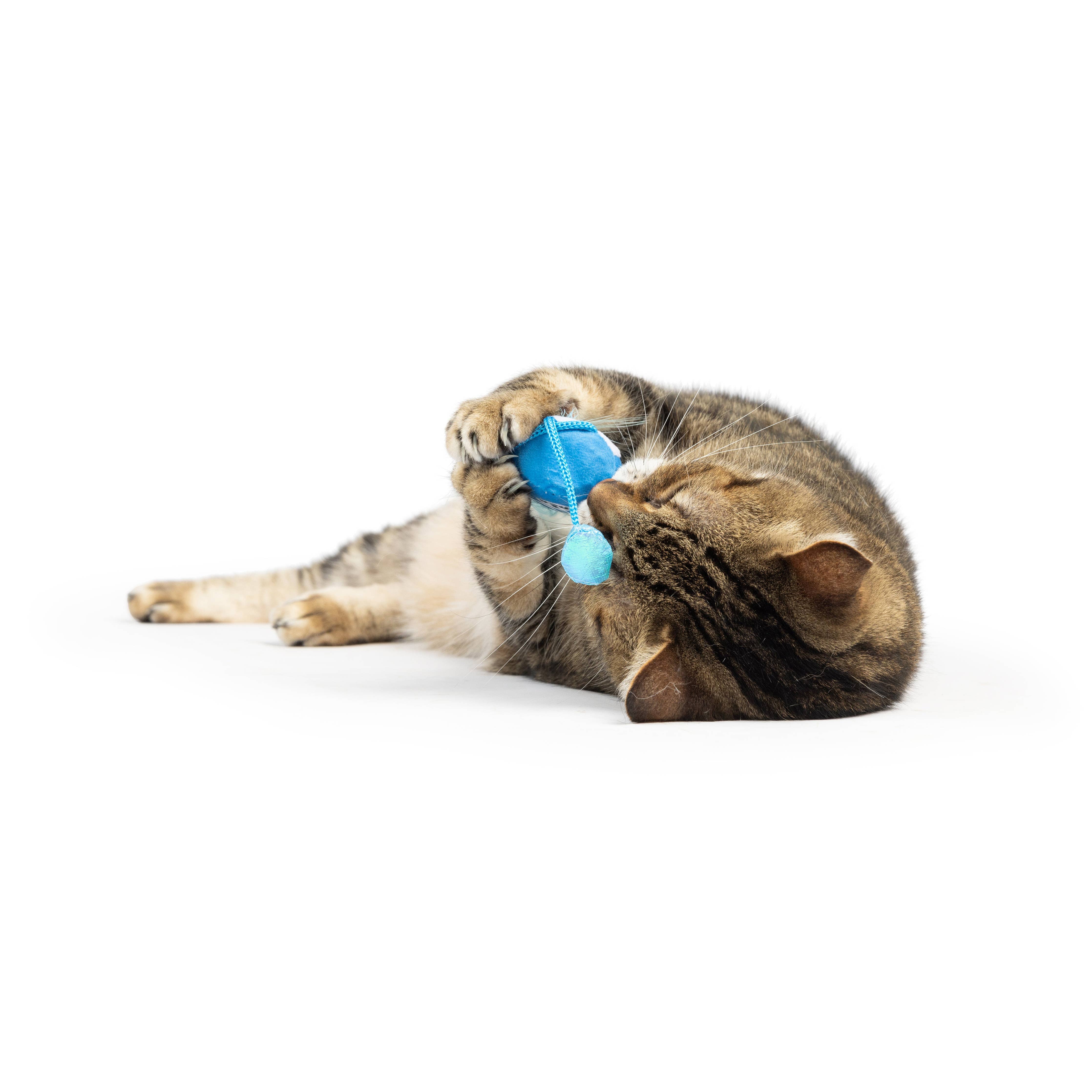 Huxley & Kent Bluebird Chirpy Cat Toy