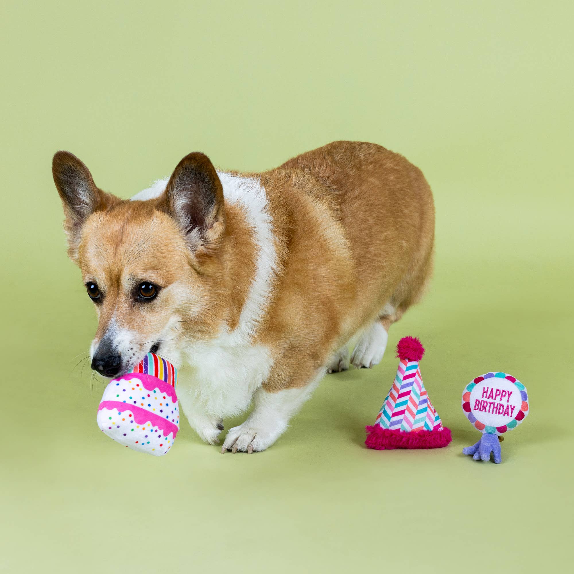 Petshop by Fringe Studio Can I Get A Woof Woof! 3pk Dog Toy