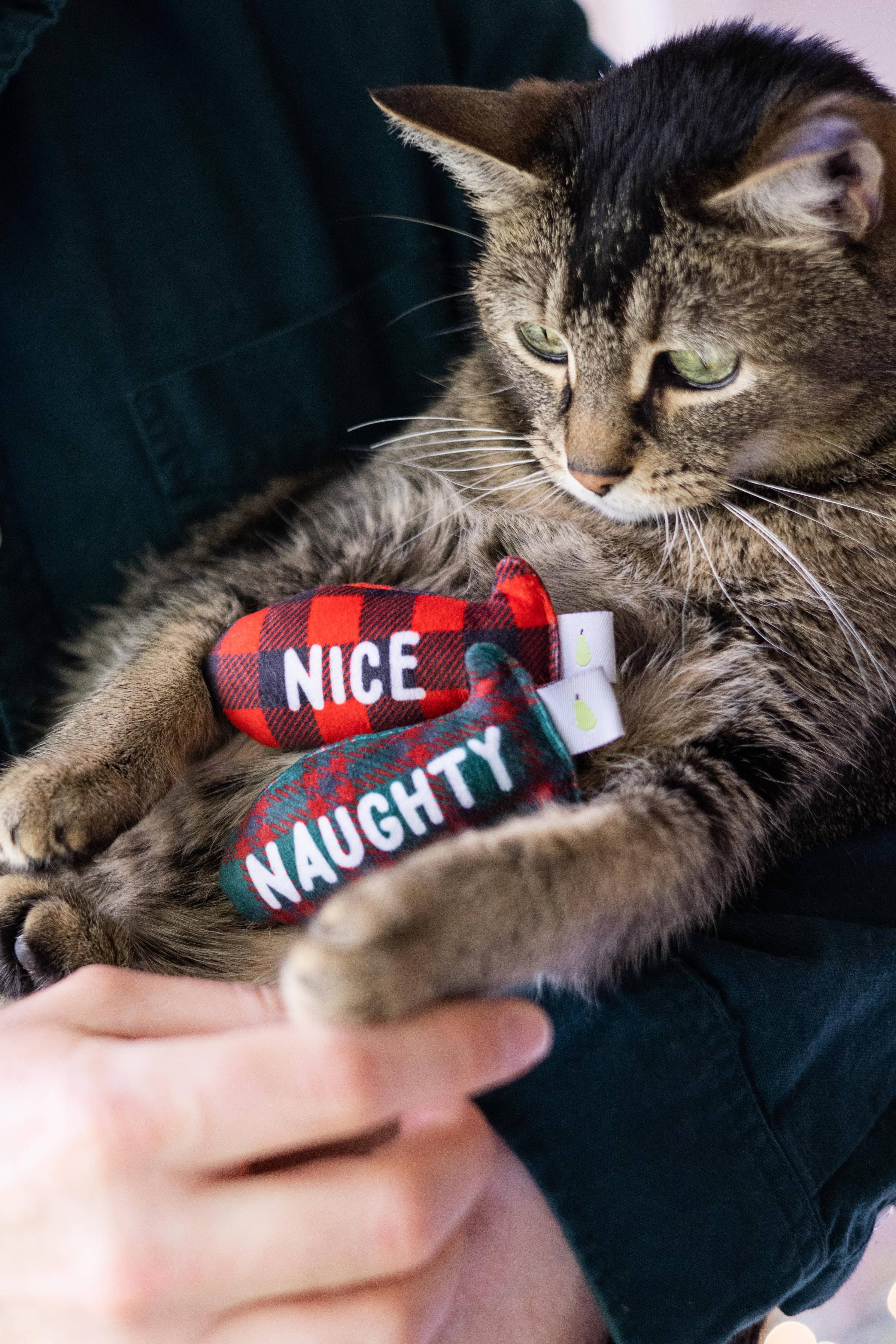 Pearhead Christmas Naughty & Nice 2pk Cat Toys