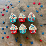 YumYum4DOGS USA Pupcake Bakery Dog Treats