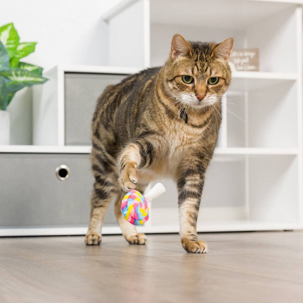 Huxley & Kent I'm Sweet Lollipop Cat Toy