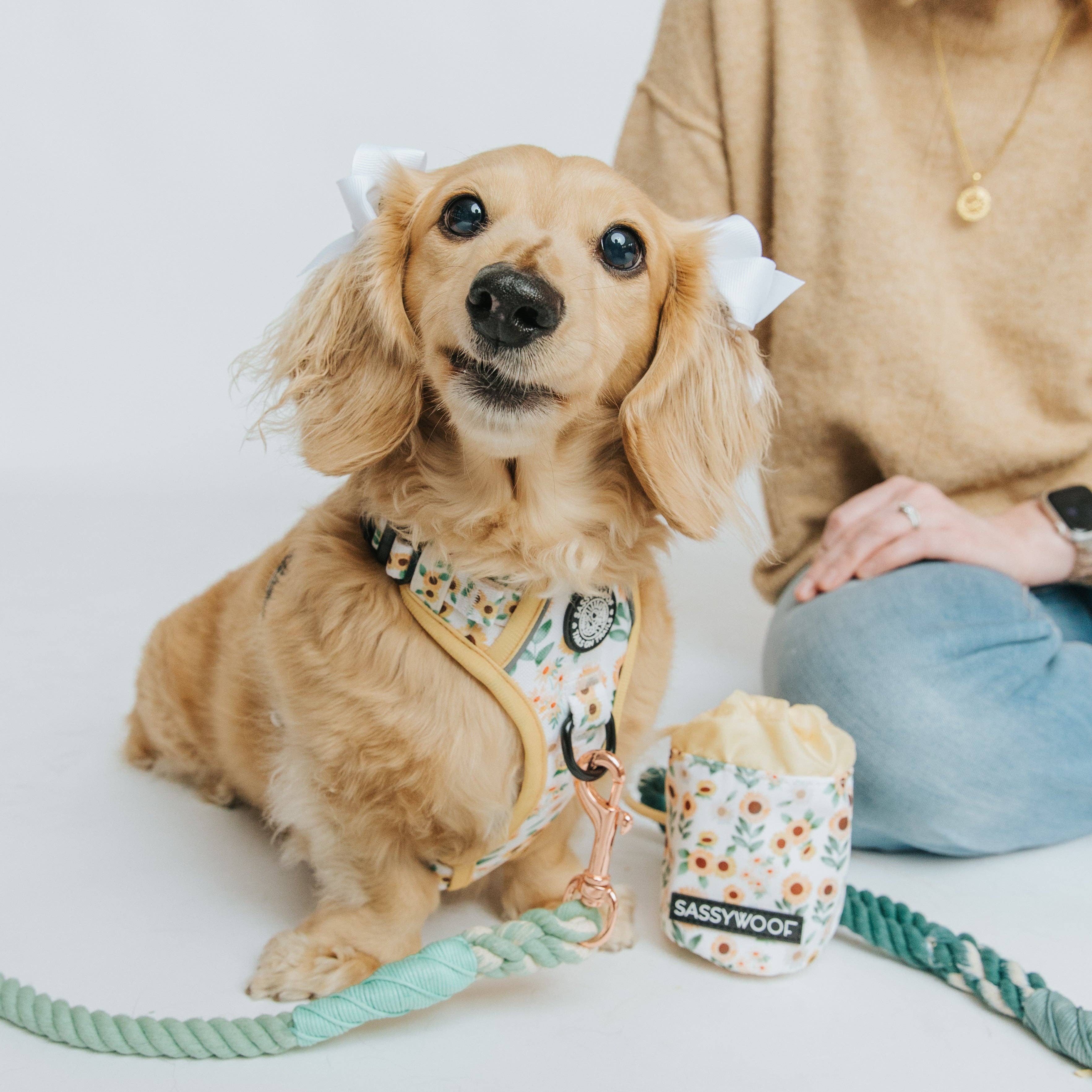 SASSY WOOF Sunflower Dreams Treat Pouch