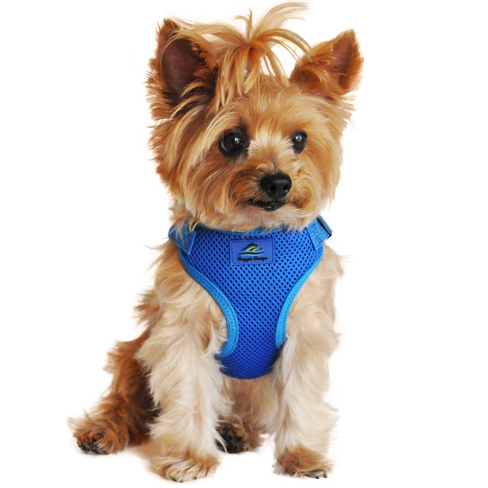 Doggie Design - Wrap & Snap Choke Free Dog Harness - Cobalt Blue