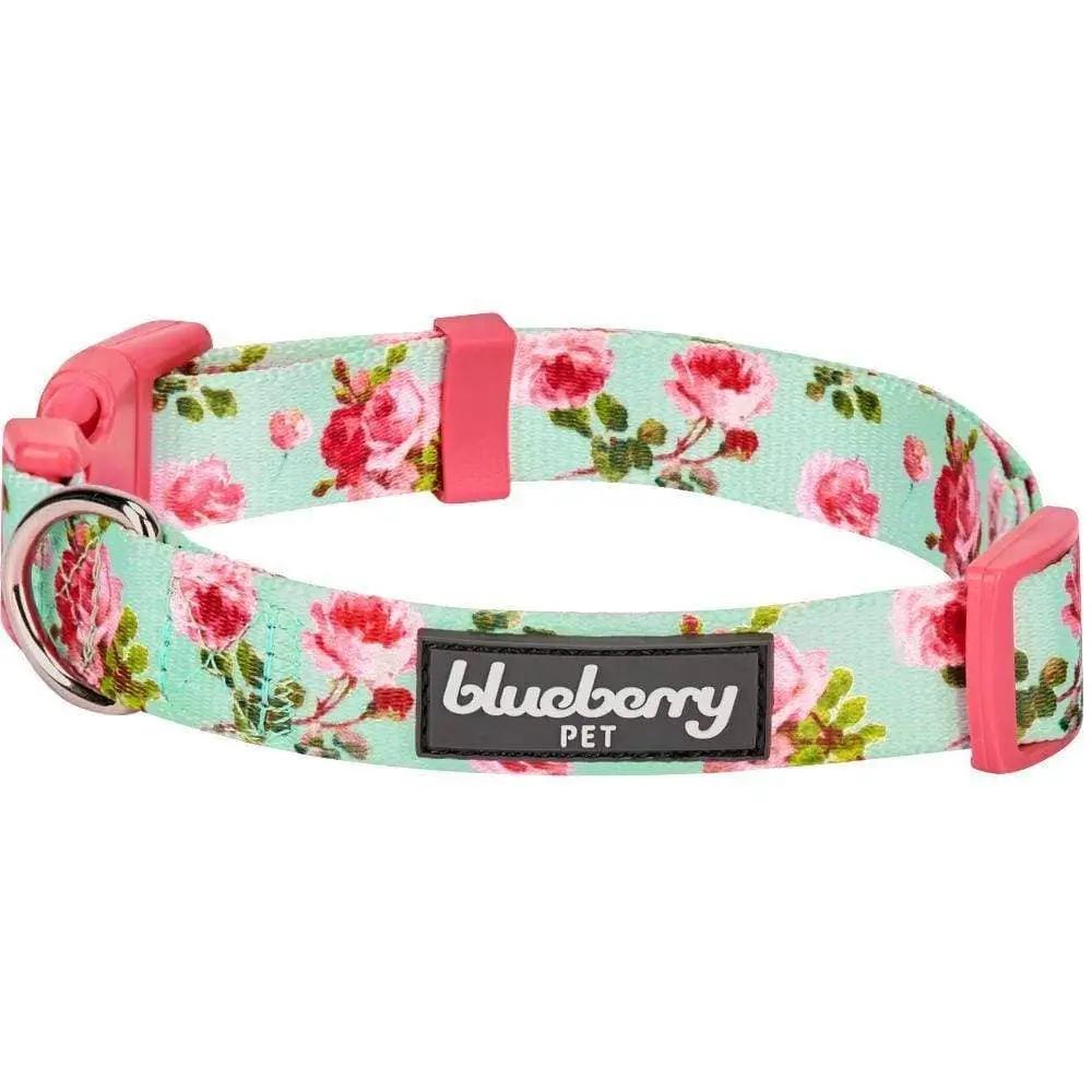 Blueberry Pet - 4 Colors, Spring Floral Dog Collar