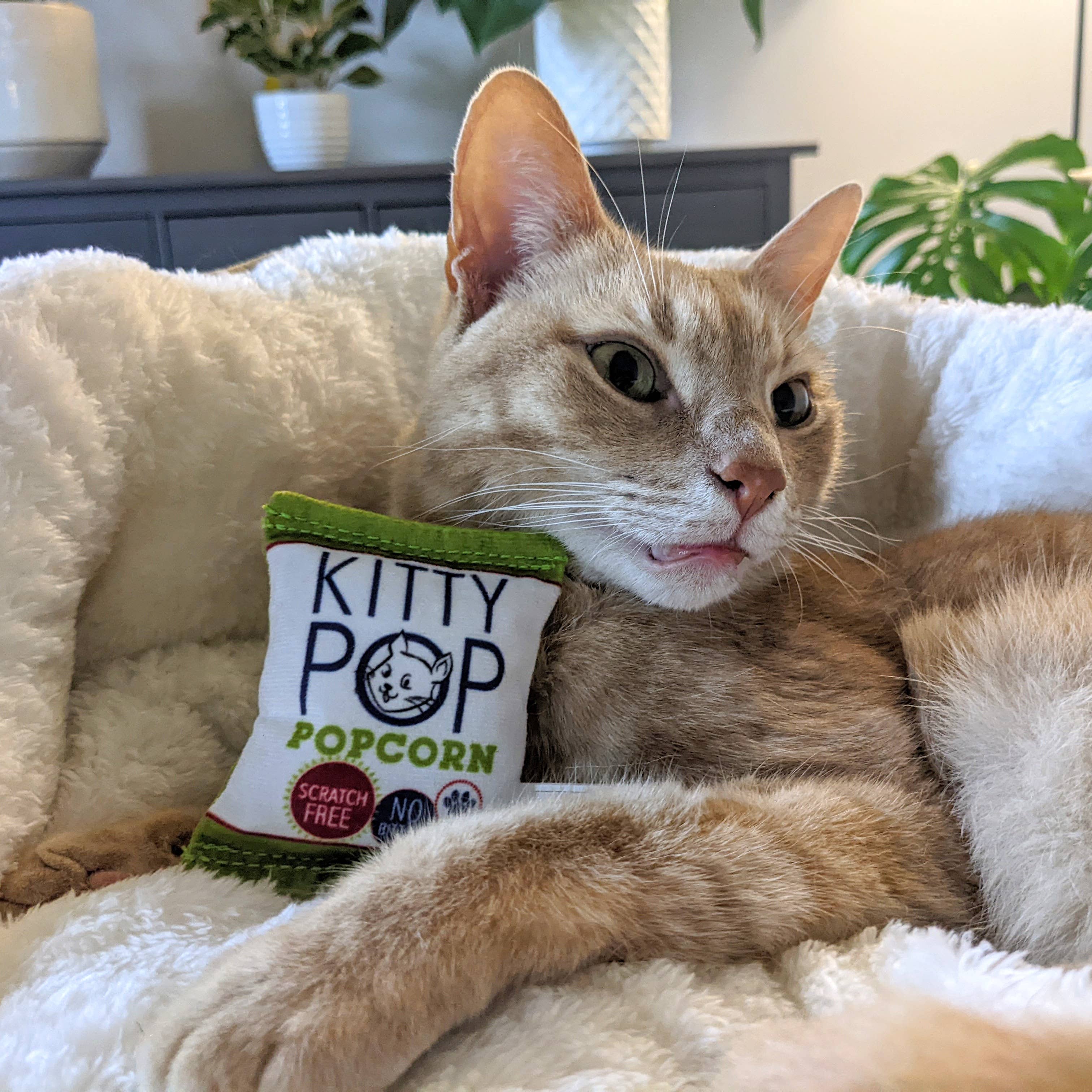 Huxley & Kent Kitty Pop Cat Toy