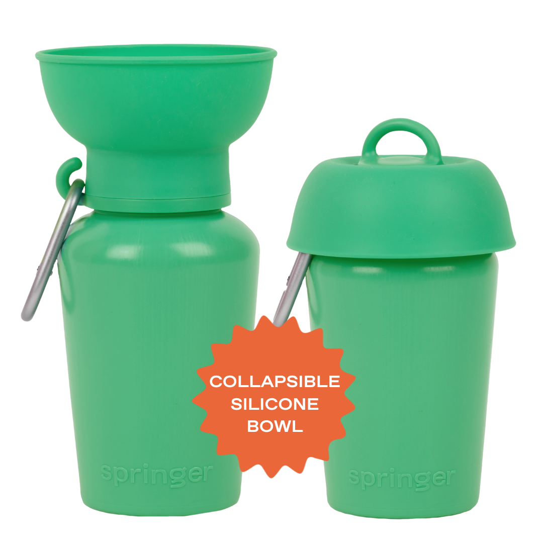 Springer Pets Dog Travel Water Bottle Flip Silicone 20oz