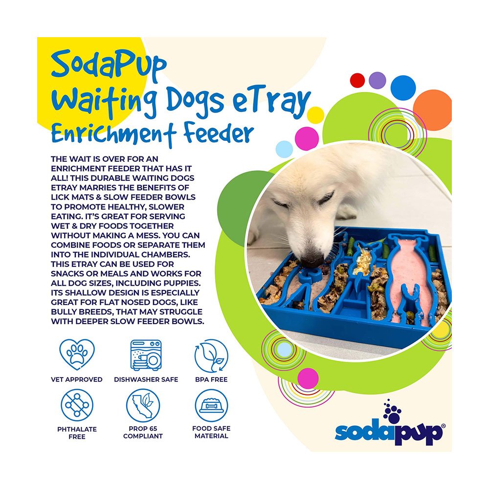 SodaPup Enrichment Tray Waiting Design Blue Slow Feeder for Dogs