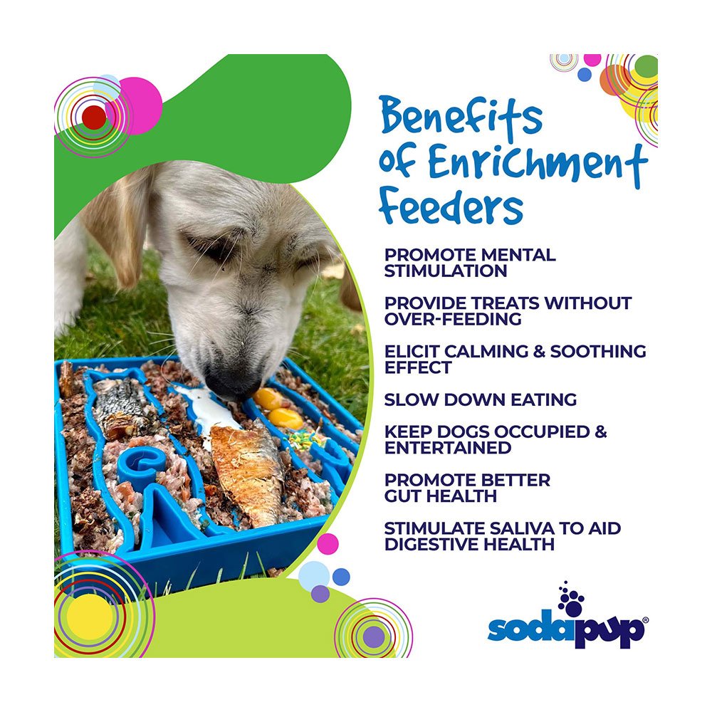 SodaPup Enrichment Tray Waiting Design Blue Slow Feeder for Dogs