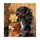 SodaPup Rubber Flower Pot Treat Dispenser & Enrichment Feeder for Dogs