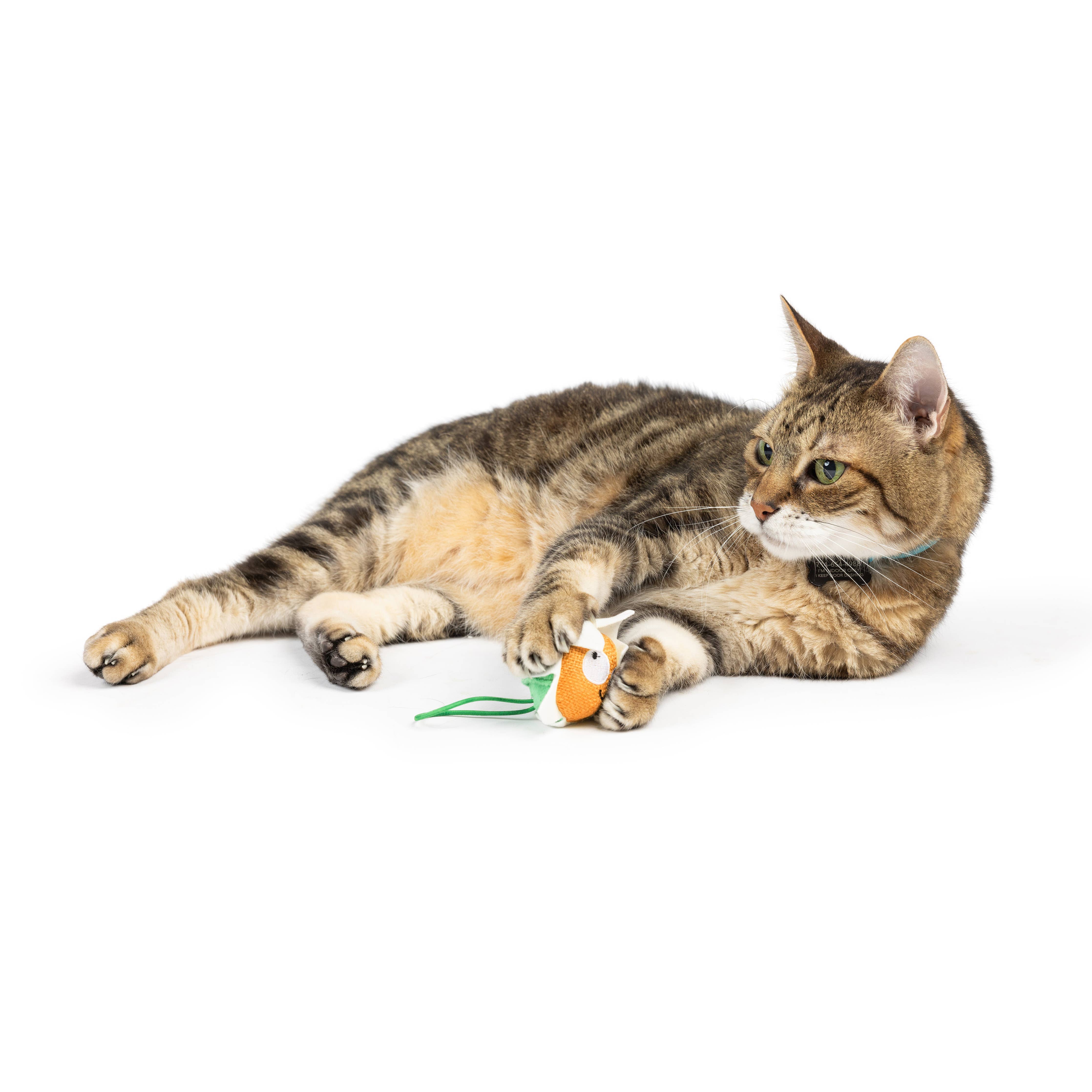 Huxley & Kent Flower Flinger Cat Toy