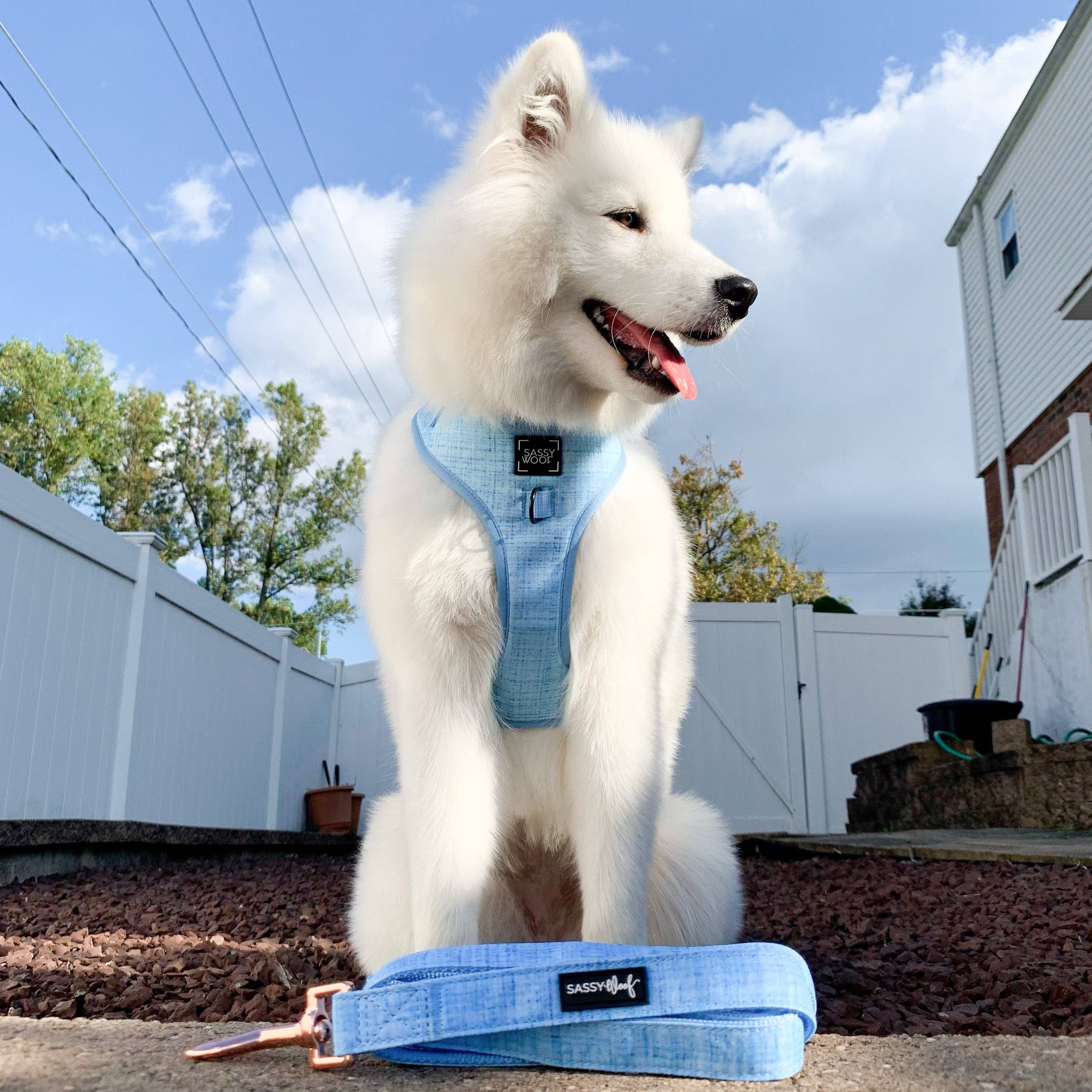 SASSY WOOF Blumond Dog Adjustable Harness