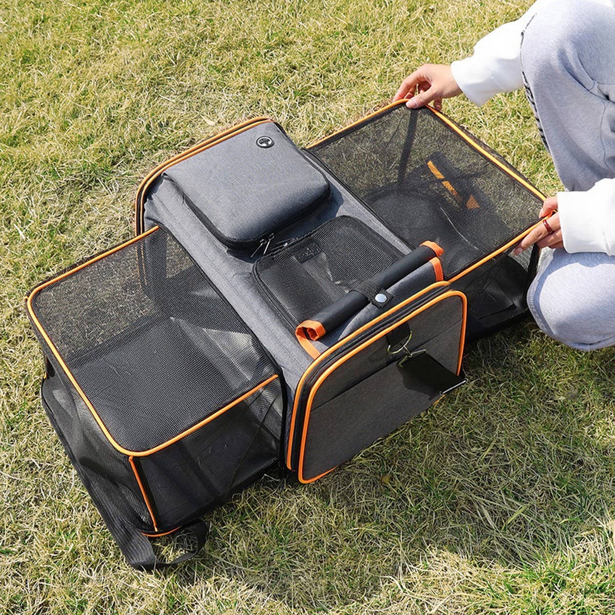 PAWPAW Portable Pet Travel Tote with Expandable Space