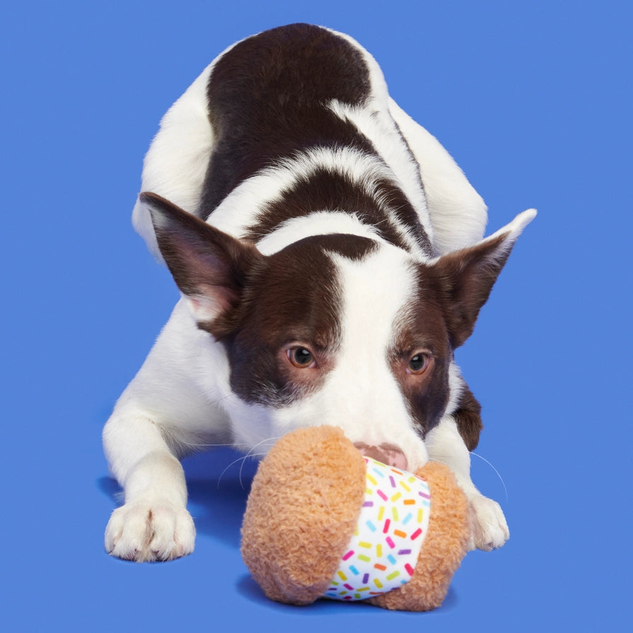 BARK Funfetchi Sniffwich Plush Dog Toy