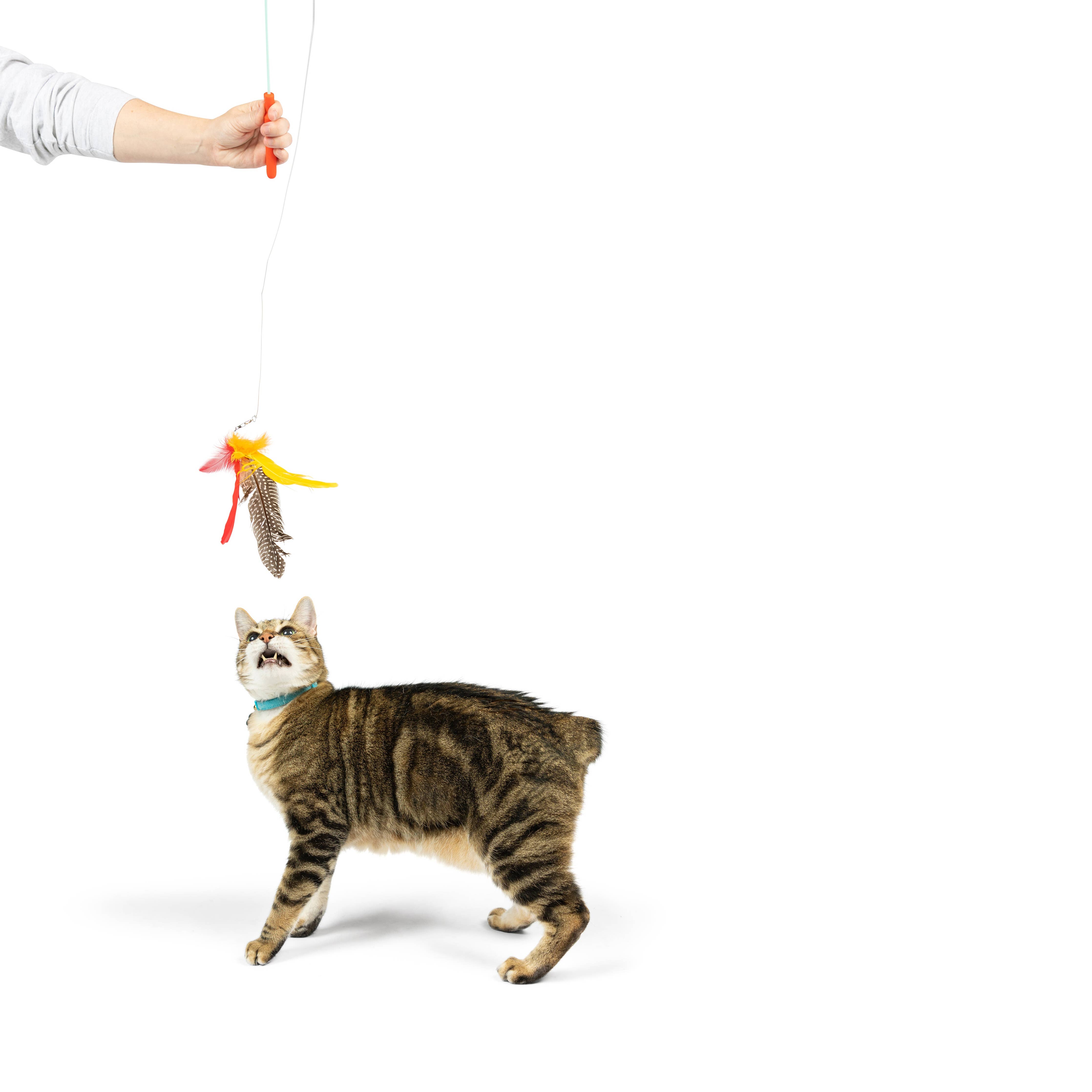 Huxley & Kent Teaser Cat Wand