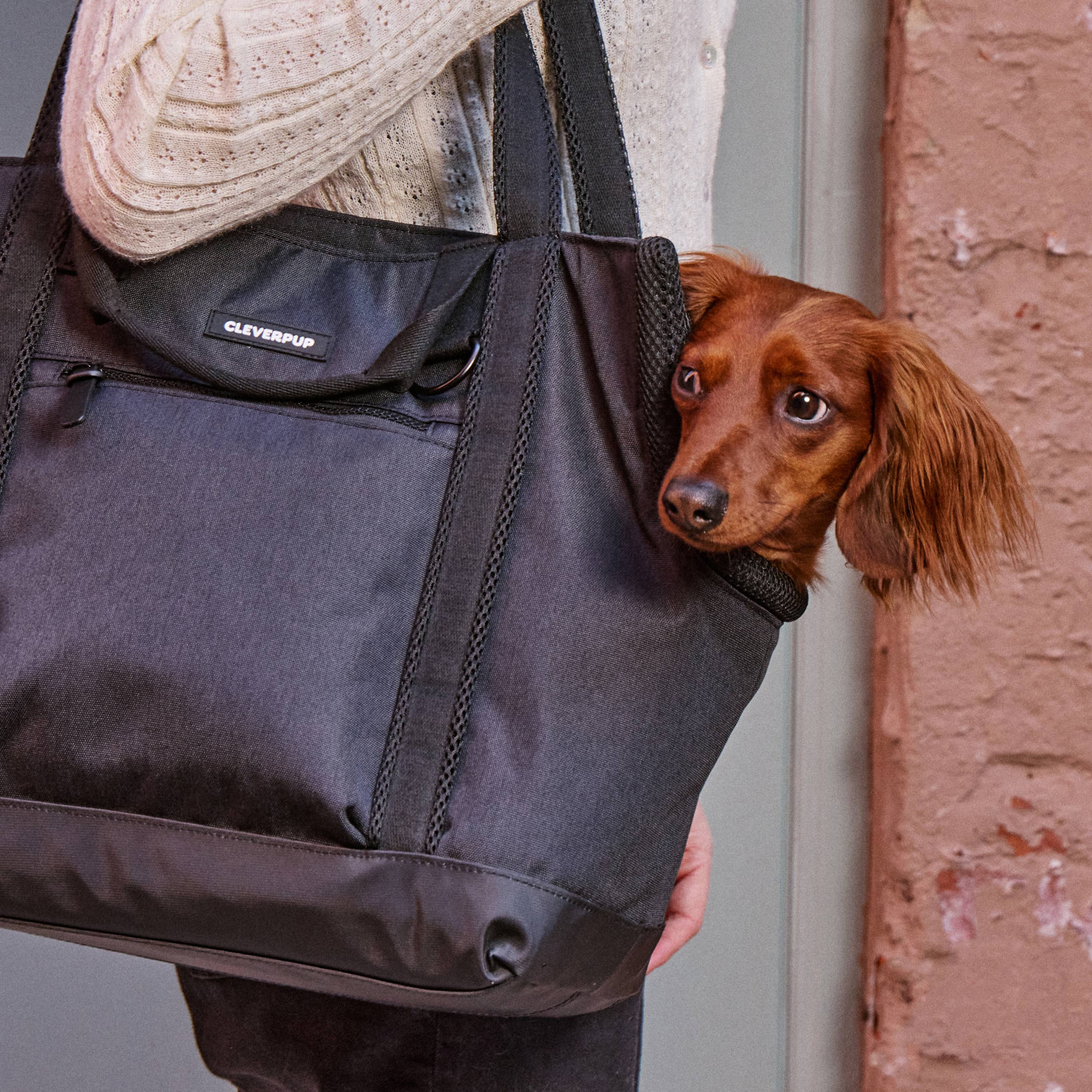 Cleverpup Transit Tote Dog Carrier