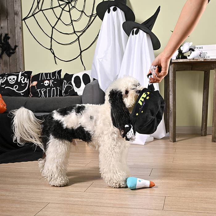 HugSmart Pet Howloween Night Witches Brew Burrow Dog Toy