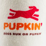 Haute Diggity Dog Pupkin' Donuts Hot Coffee