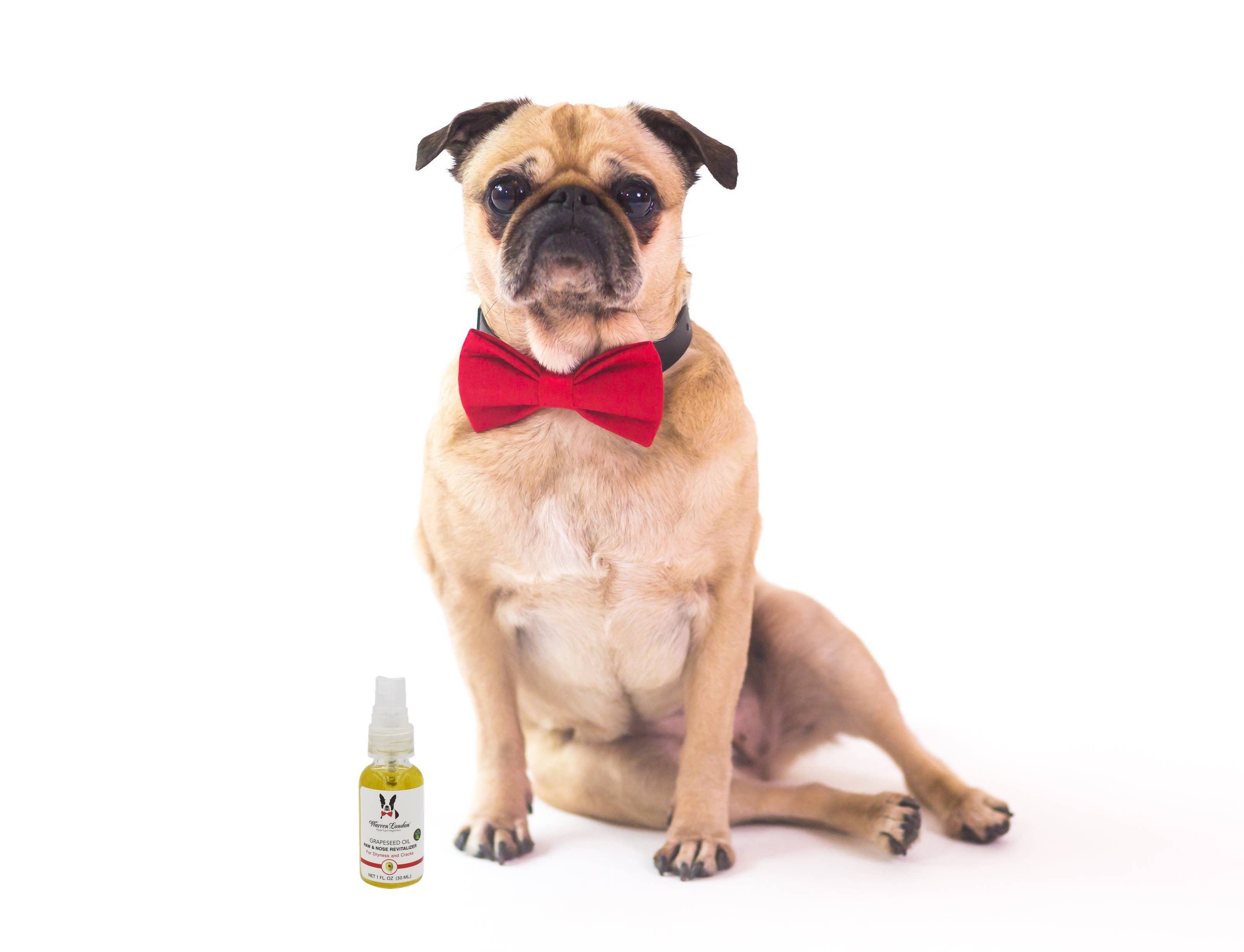 Warren London Dog Products Grapeseed Oil Paw Revitalizer
