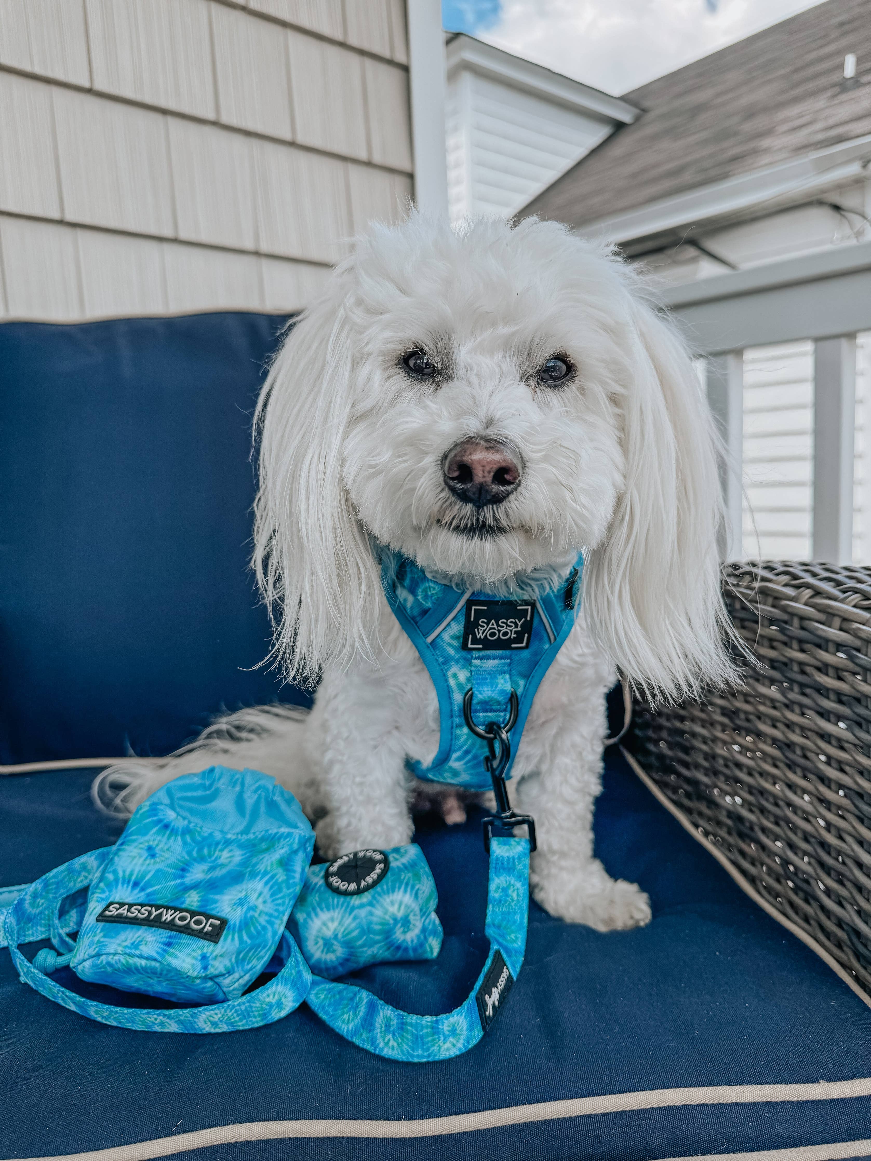 SASSY WOOF Tropical Tides Treat Pouch