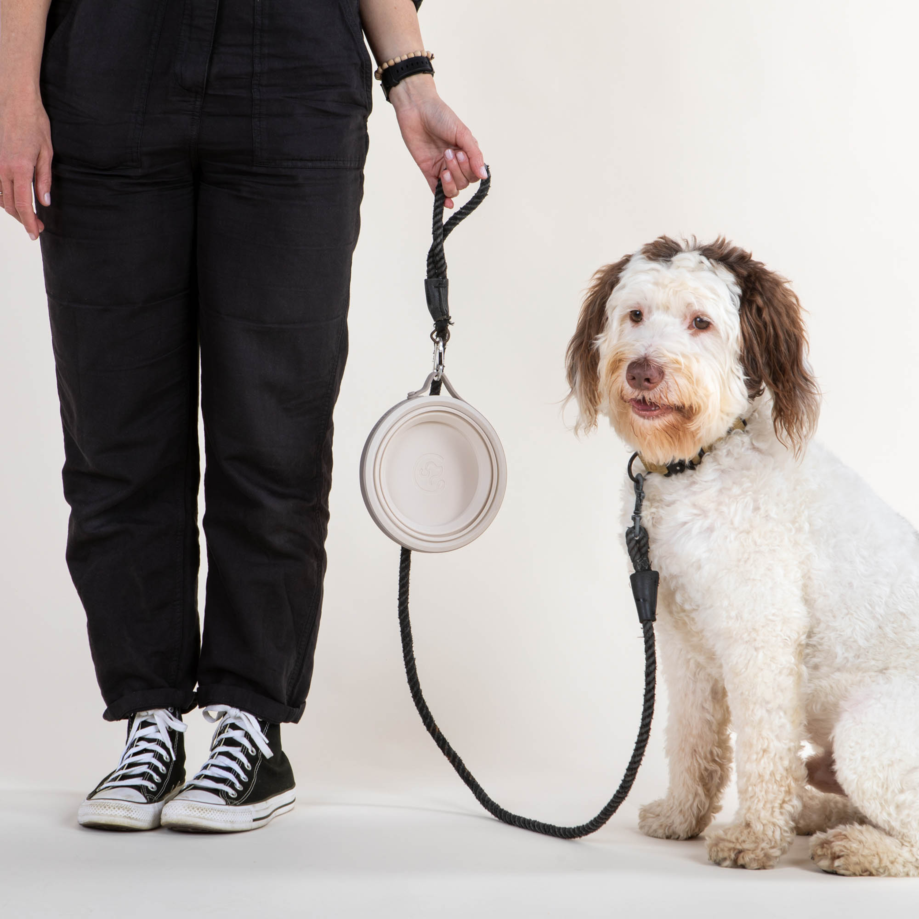 Cleverpup Nomad Collapsible Dog Bowl
