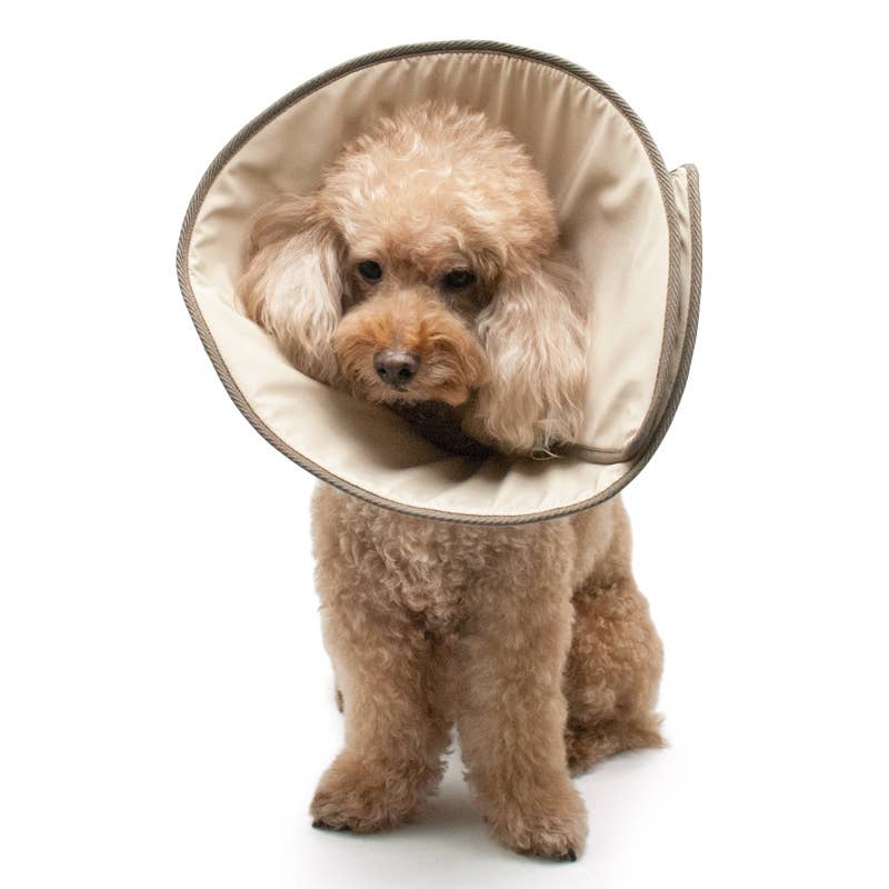 Dogo Pet Get Better Soft E-Collar
