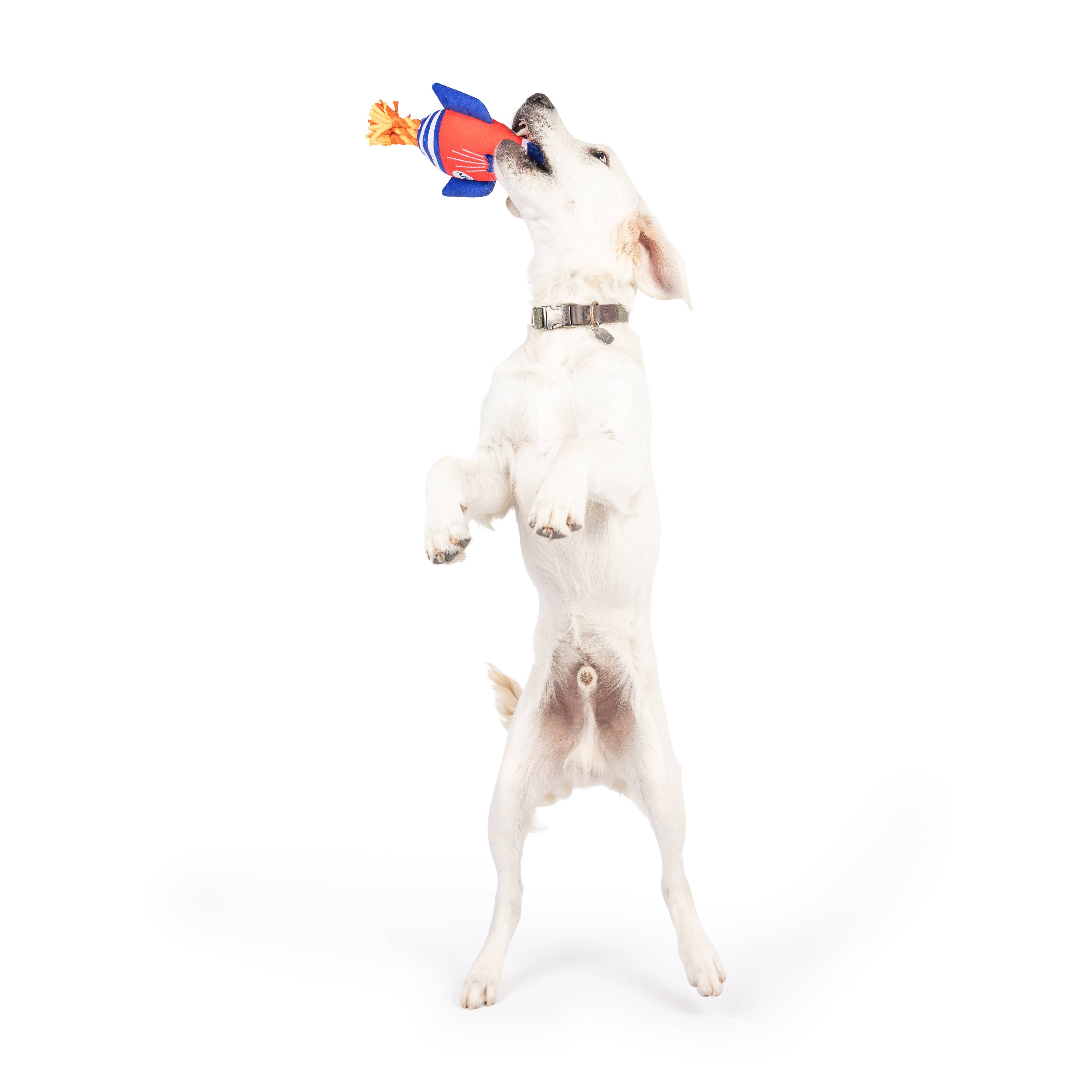 Huxley & Kent Rocket Man Dog Toy