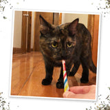 Meowijuana Birthjays Party Sized Catnip Joints