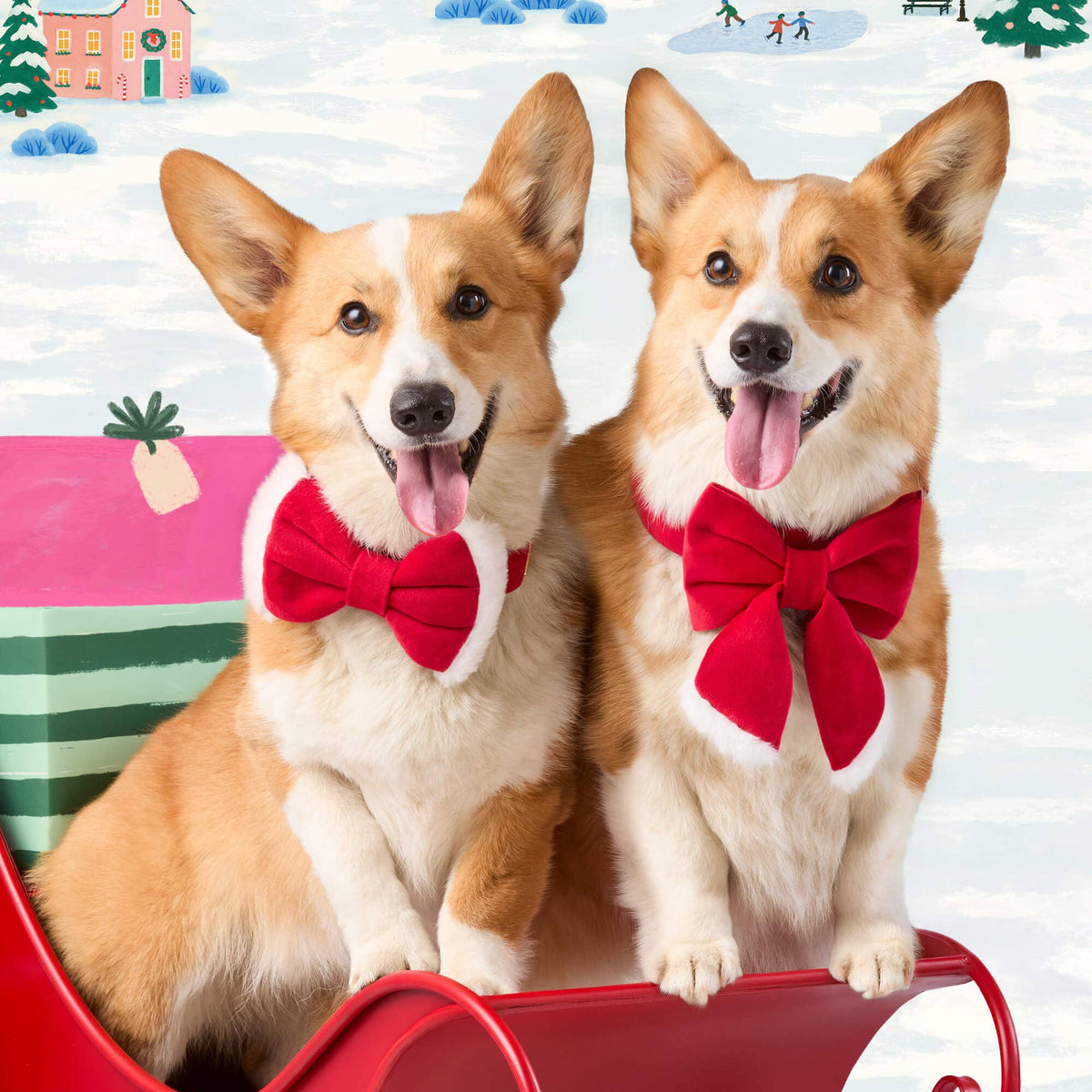 The Foggy Dog - Santa Paws Lady Dog Bow