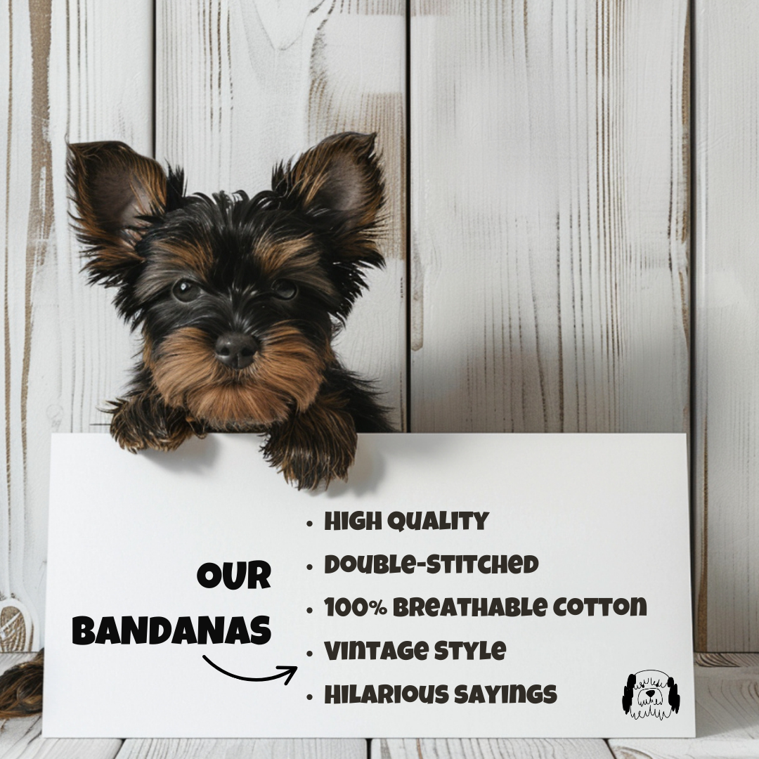 Sparky & Co Vintage Graphic Pet Bandana
