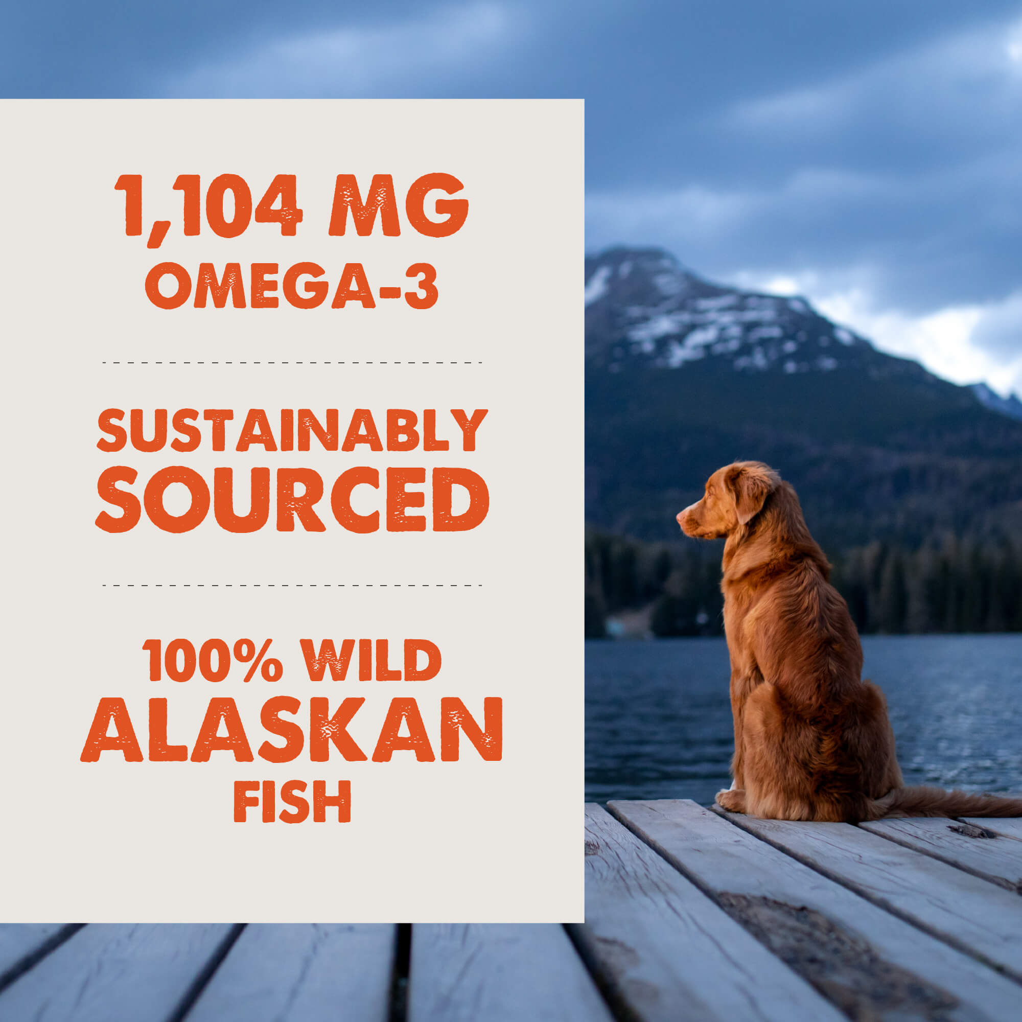 Grizzly Salmon Oil Plus Dog & Cat Liquid Supplement