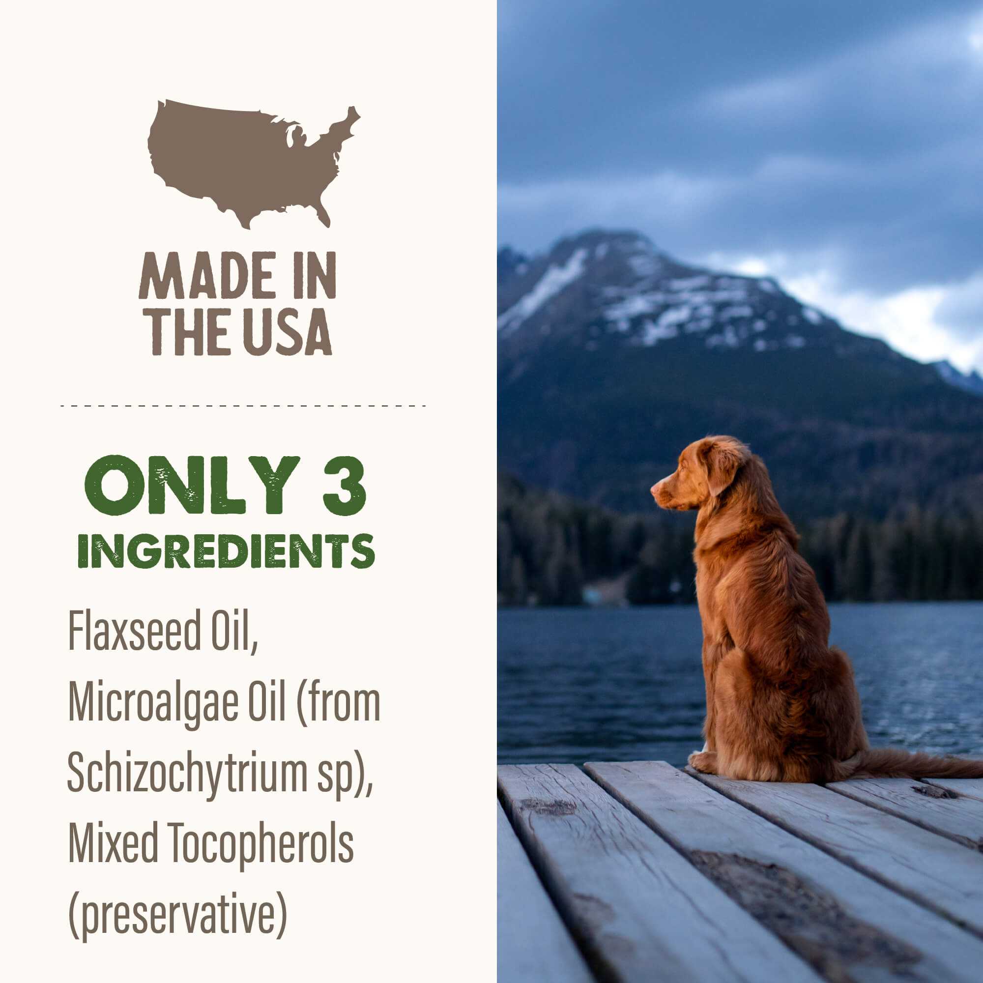 Grizzly Algal Plus Oil Food Supplement