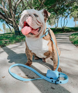 SASSY WOOF Blue Dog Waterproof Leash