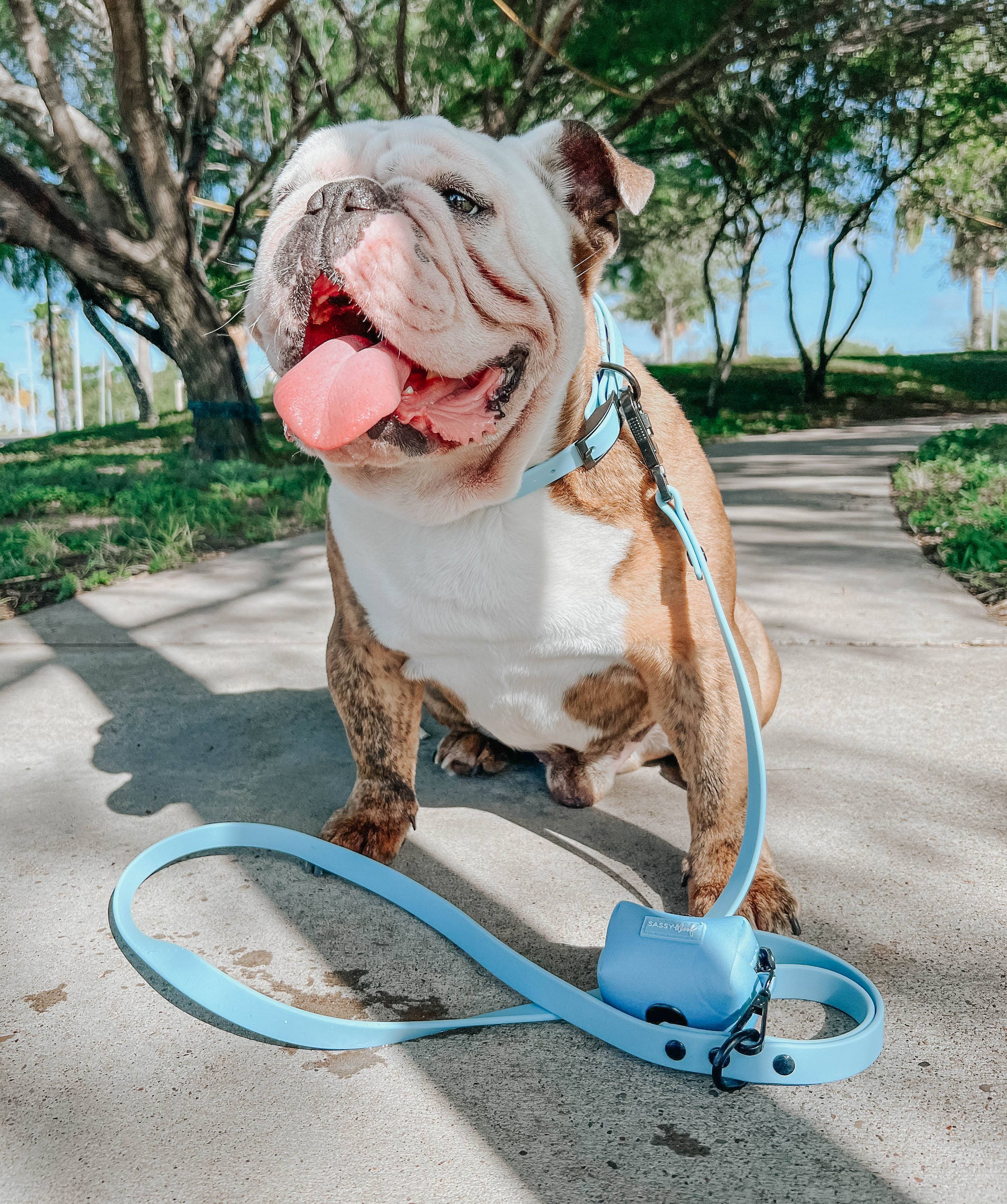 SASSY WOOF Blue Dog Waterproof Leash