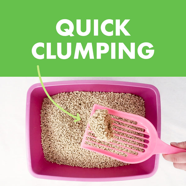 Weruva Hinoki Wood & Green Tea Cat LItter