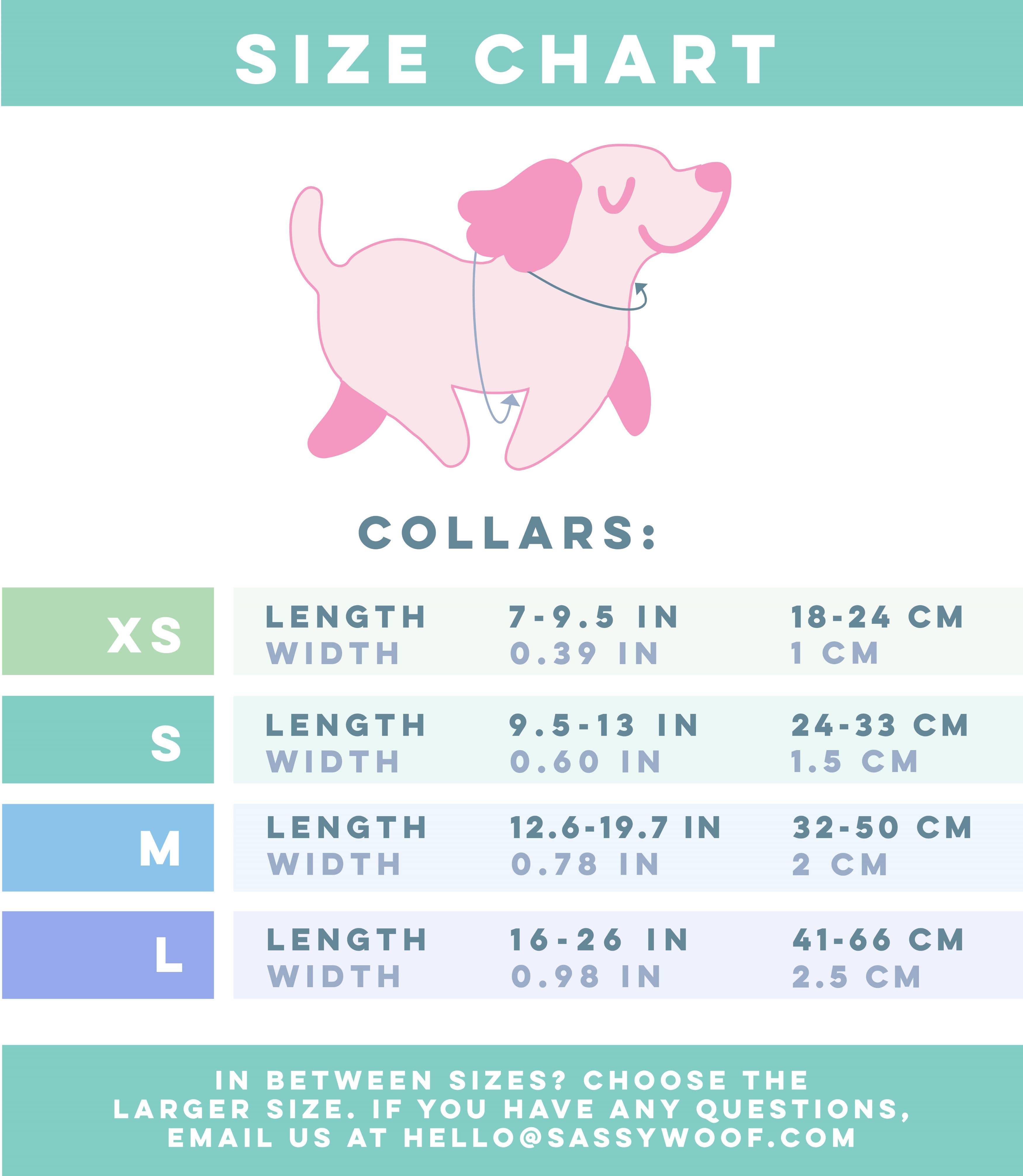 SASSY WOOF Teddy Dog Collar
